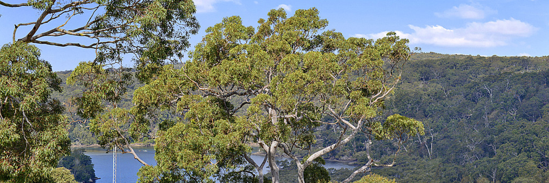 12 Warren Avenue, GRAYS POINT, NSW 2232 AUS