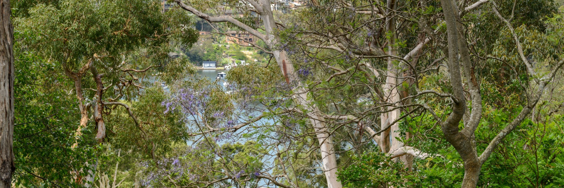 89 Grays Point Road, GRAYS POINT, NSW 2232 AUS