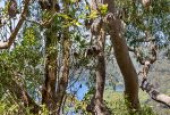 20 Warren Avenue, GRAYS POINT, NSW 2232 AUS
