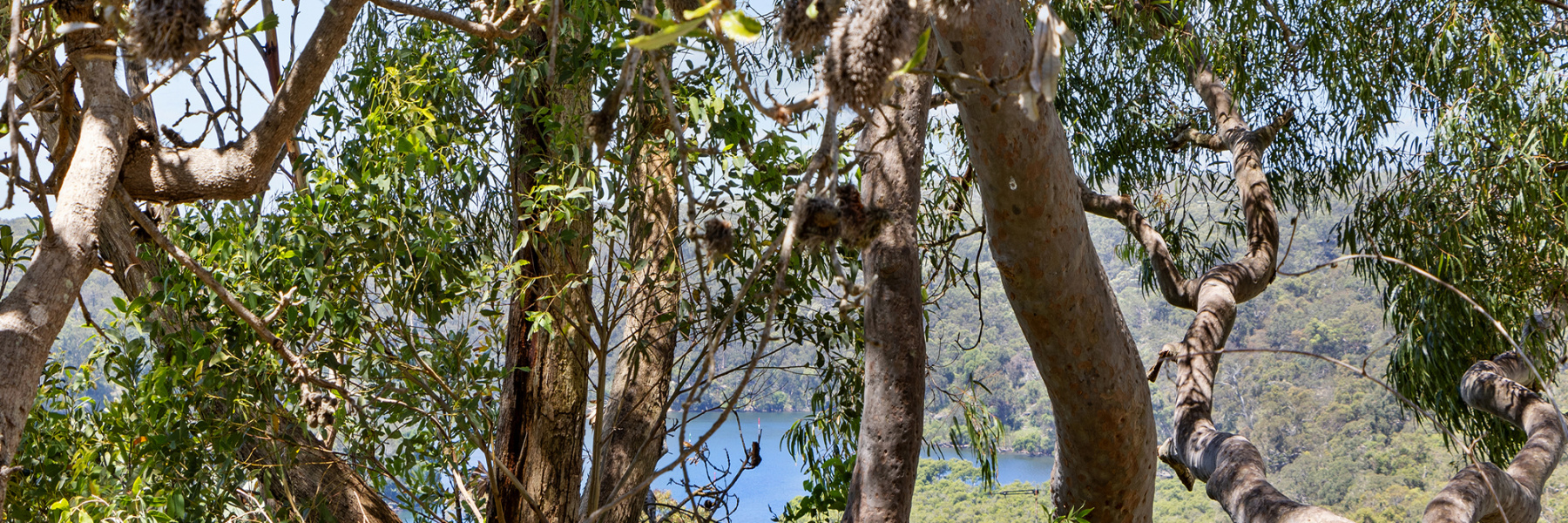 20 Warren Avenue, GRAYS POINT, NSW 2232 AUS