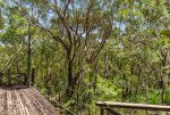 41 Hovea Place, GRAYS POINT, NSW 2232 AUS