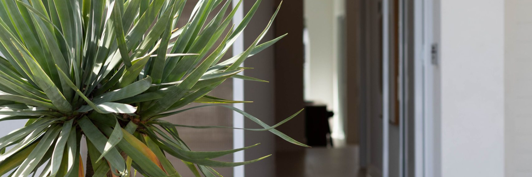 14B Best Crescent, KIRRAWEE, NSW 2232 AUS