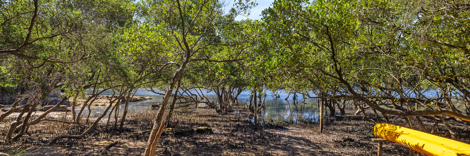 203 Peninsular Road, GRAYS POINT, NSW 2232 AUS