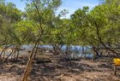 203 Peninsular Road, GRAYS POINT, NSW 2232 AUS